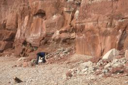 The red cliffs of
Sidmouth.